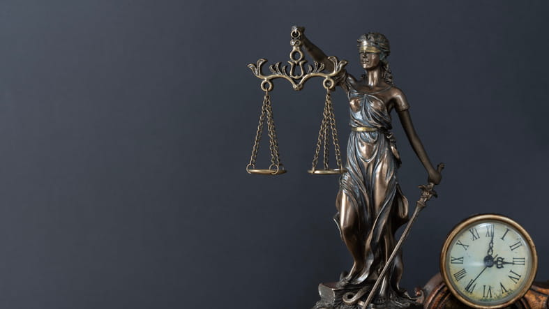 How Long Does A Personal Injury Case Take? 1 A figure of checks and balances